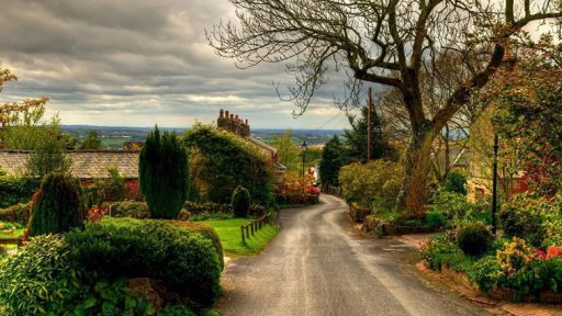 Random Thoughts on the Window