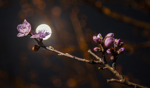 又是一个夜深人静的晚上，今天是中秋节