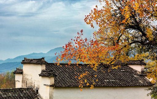 远在他乡的我该怎么度过这个中秋节