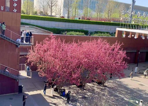 中年男人的无兴趣综合症